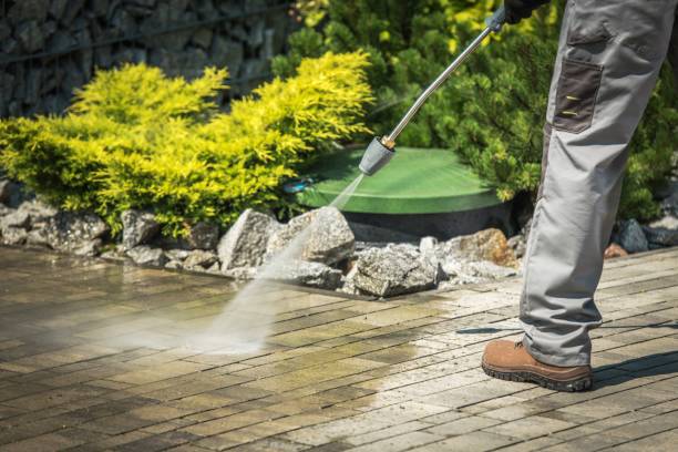 Best Solar Panel Cleaning  in Tangelo Park, FL